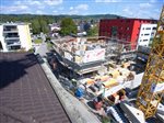 Seon Milchgasse 14 MFH Boschetti (46)